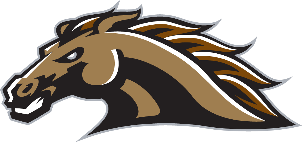 Western Michigan Broncos 1998-Pres Secondary Logo DIY iron on transfer (heat transfer)